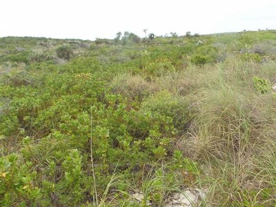 Land &middot; For sale